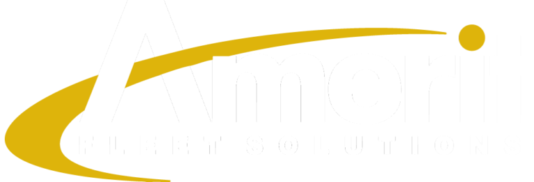 Amerit Fleet Solutions