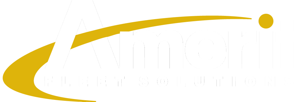 Amerit Fleet Solutions