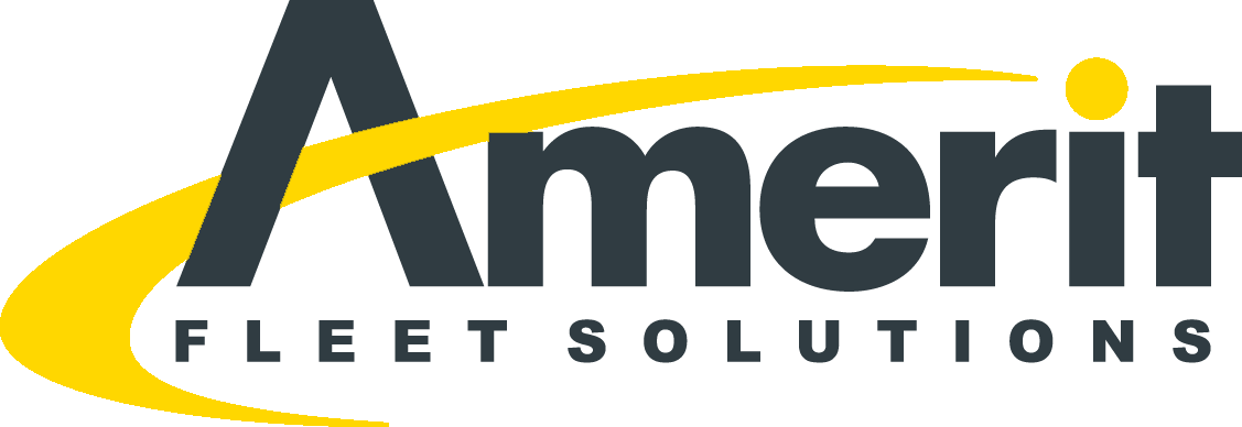 Amerit Fleet Solutions